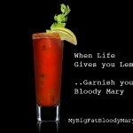 Spicy Bloody Mary Drink Recipe