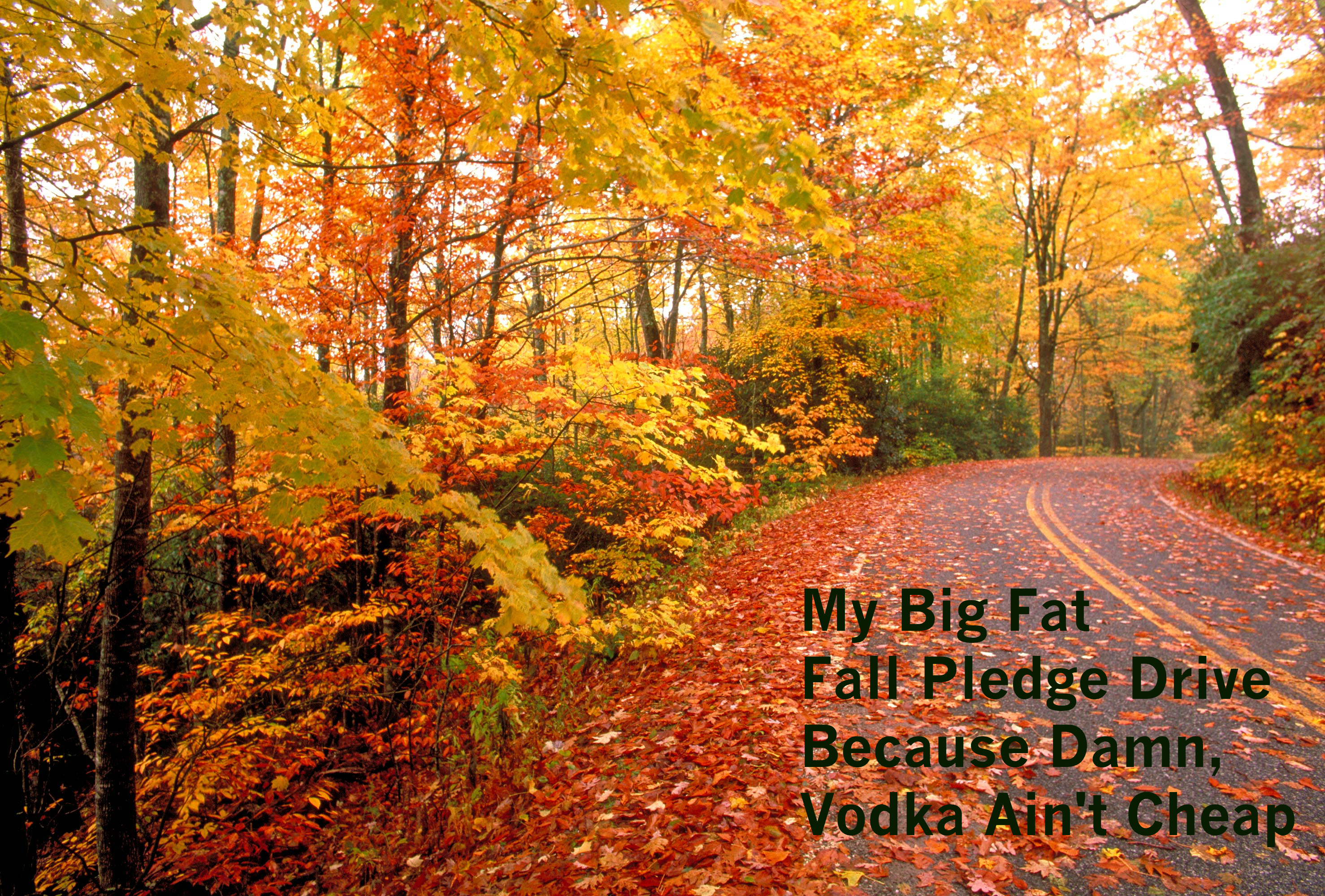 My Big fat Bloody Mary Podcast Fall Pledge Drive